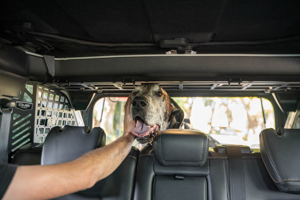 2021-2024 Ford Bronco | Dog Barrier