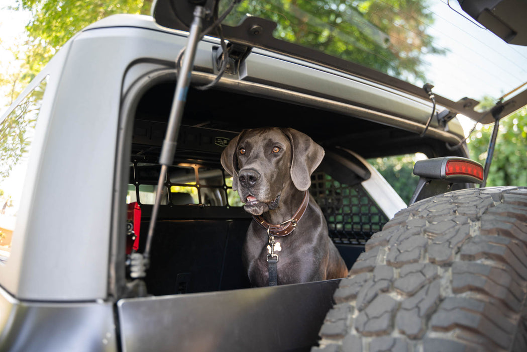 2021-2024 Ford Bronco | Dog Barrier