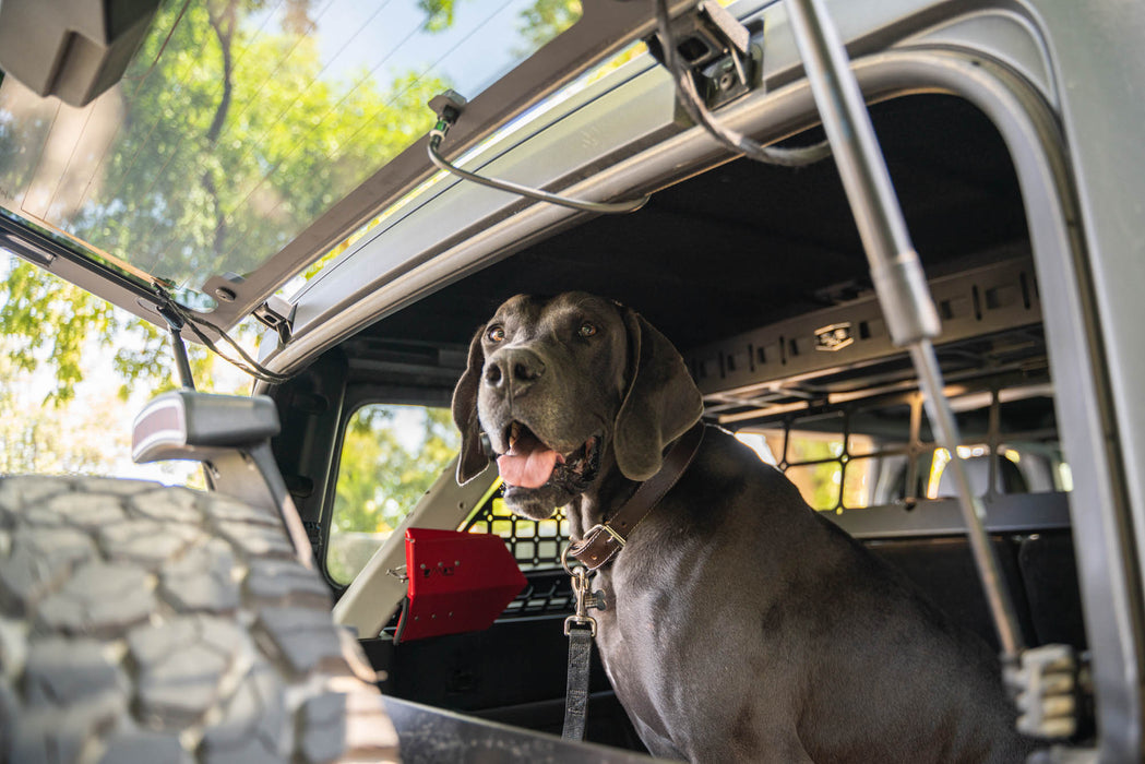 2021-2024 Ford Bronco | Dog Barrier