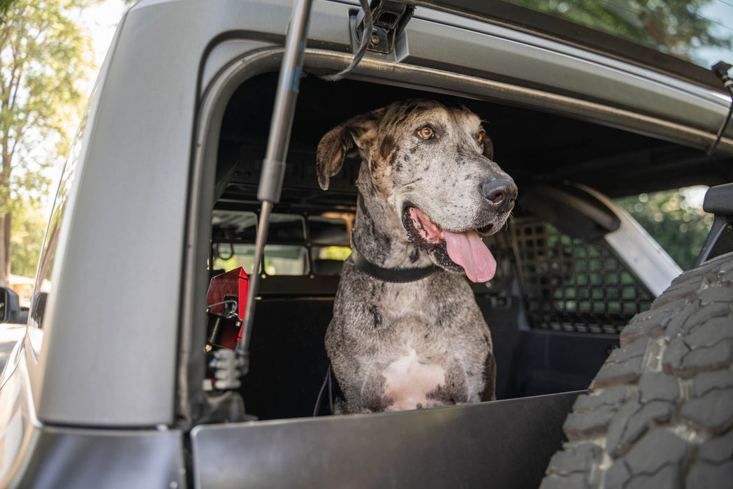 2021-2024 Ford Bronco | Dog Barrier